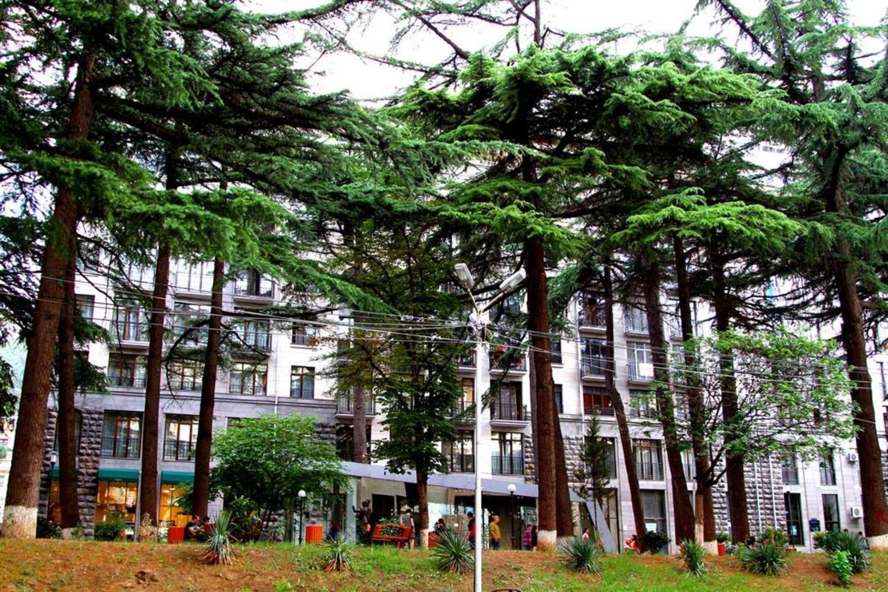 Rustaveli Residence III تبليسي المظهر الخارجي الصورة